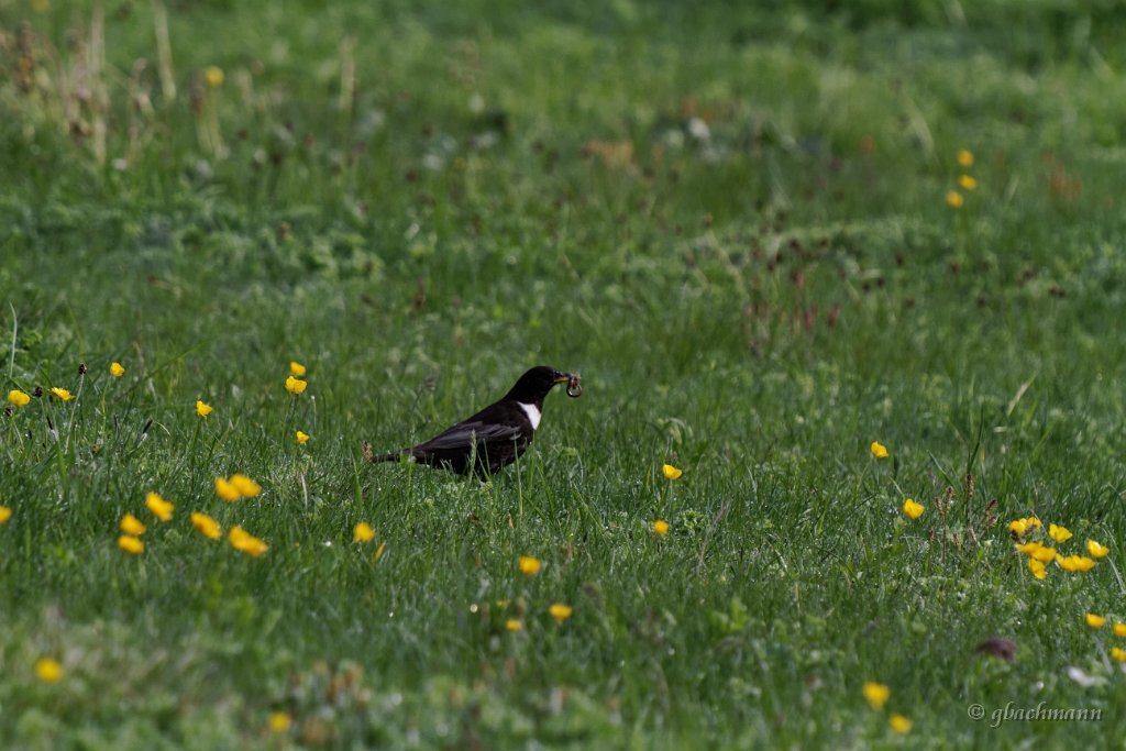 20120624_272